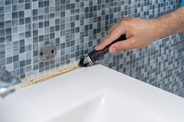 Best Emergency Mold Removal  in New Richmond, OH