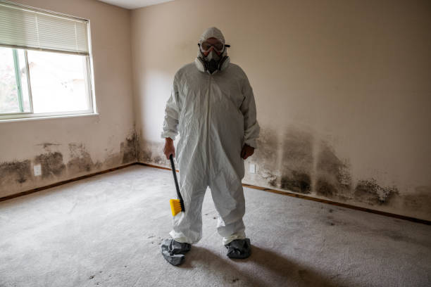 Home Mold Removal in New Richmond, OH